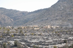 صور متنوعة2