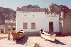 صور متنوعة3