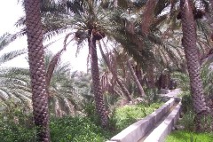 صور متنوعة7