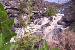صور متنوعة8