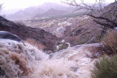 صور متنوعة9
