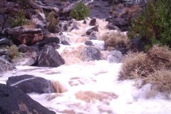صور متنوعة10