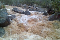 صور متنوعة13