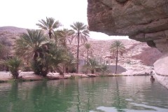 صور متنوعة14