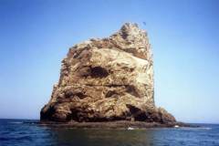 صور متنوعة2