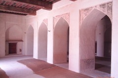 صور متنوعة6