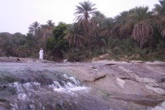 صور متنوعة9