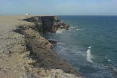 صور متنوعة12