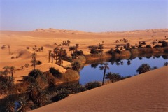 صور متنوعة13