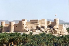 صور متنوعة10