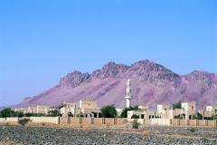 صور متنوعة11