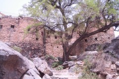 صور متنوعة12