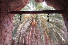 صور متنوعة15