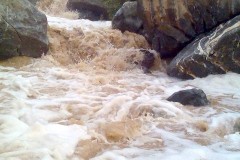 صور متنوعة5