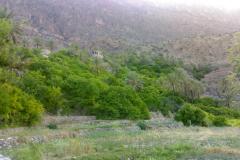 صور متنوعة7