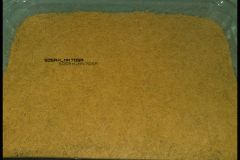 بسبوسة بالصــور1