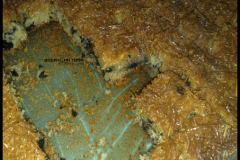 بسبوسة بالصــور2