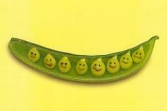 صور خضار بأشكال رائعة 1