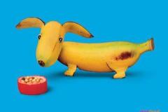 صور خضار بأشكال رائعة 5