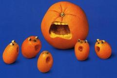 صور خضار بأشكال رائعة 6