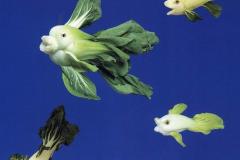 صور خضار بأشكال رائعة 8