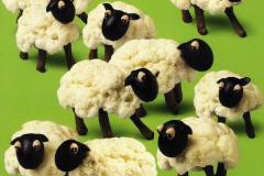 صور خضار بأشكال رائعة 11