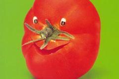 صور خضار بأشكال رائعة 14