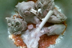 الرز الكابلي / بالصور 5