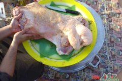 طبخ البر صور 1