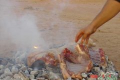 طبخ البر صور 2