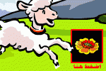 بطاقات المناسبات الدينية5