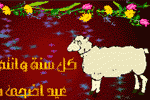 بطاقات المناسبات الدينية8