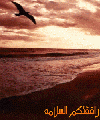 بطاقات المناسبات الدينية14