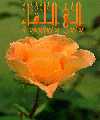 بطاقات المناسبات الدينية6