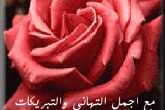 بطاقات المناسبات الدينية10