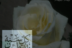 بطاقات المناسبات الدينية11