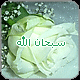 بطاقات المناسبات الدينية2