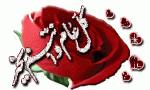 بطاقات المناسبات الدينية2
