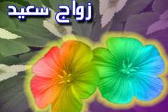 بطاقات المناسبات الدينية2