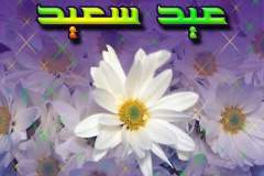 بطاقات المناسبات الدينية4