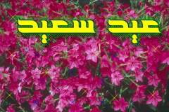 بطاقات المناسبات الدينية7