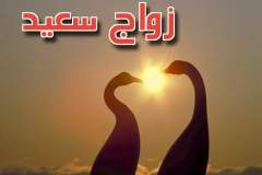 بطاقات المناسبات الدينية9