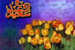 بطاقات المناسبات الدينية12
