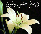 بطاقات المناسبات الدينية10