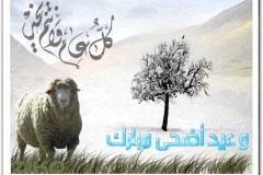 بطاقات المناسبات الدينية4