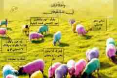 بطاقات المناسبات الدينية7