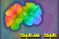 بطاقات شهر رمضان15