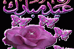 بطاقات السنة الميلادية الجديدة3