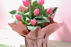 بالشفاء العاجل