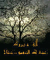 بطاقات تهاني الزواج والخطوبة2